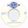 7inch Record ARIWA POSSE, AJAY FRANKLYN / MAD PR - Night & Day / Dub & Day ARI234 Ariwa UK 2009 UK Reggae, Ska & Dub