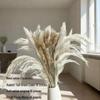 Preserved Rabbit Tail Grass Bouquet - DIY Dried Flower Decoration with Pampas Grass