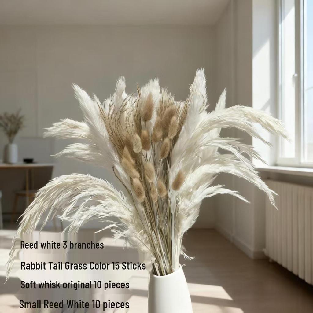 Preserved Rabbit Tail Grass Bouquet - DIY Dried Flower Decoration with Pampas Grass