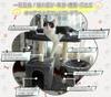 Hapineko Mini Cat Tower Compact Cat Tower with Scratching 2 Overlooking Observation Hidden and Hammock Height 72cm Smoky - Small, Low, Self-Grooming,