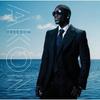 CD AKON - Freedom B001233402 Street Records  2008 US Рэп и Хип-хоп/R&B Б/У