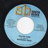 7-дюймовая пластинка ANTHONY CRUZ / HAWKEYE - You're Fine / No Noise Please NONE South Block 2004 Ямайка Регги, Ска и Даб Б/У