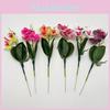 Realistic Artificial Phalaenopsis Flower Plant For Photography And Home Decor