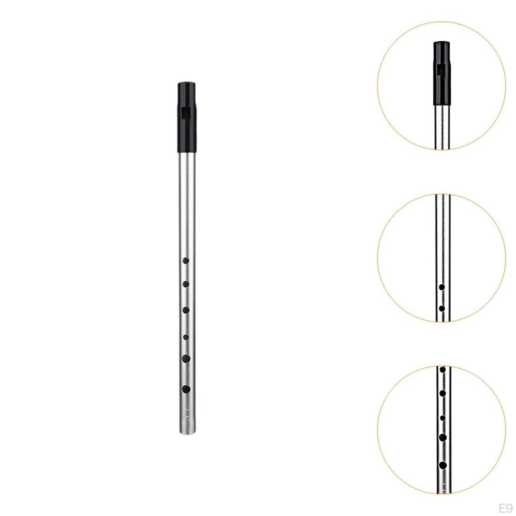 Свисток Флейта Свистящий Легко Чистый Инструмент Подарок на День Рождения Портативный Пенни 6 Отверстий