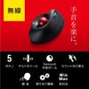 SANWA SUPPLY Беспроводной эргономичный трекбол MA-WTB178BK