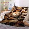 3D Persian Cat,Cute Calico Cat,Ragdoll Cartoon Soft Blankets,Keep Warm Throw Blanket for Picnic Beds Sofa Home Bedroom Gift Kid