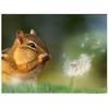Painting Chipmunk Dandelion 5D DIY Diamond Embroidery Squirrel Mosaic Full Round Diamond Kits Decor