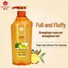 Fenghua Ginger Hair Strengthening Shampoo