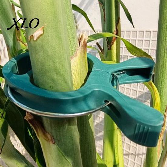 Vegetable Fixing Tools 20Pcs Plant Support Clips, Plastic Gentle Clamps, Greenhouse Holders Tomato Cage Clips for Climbing Vines, Flowers Stems
