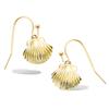 [Q6831] - Gold Plated 'Scallop Shell' Gold Plated Earrings - 12x10 Mm