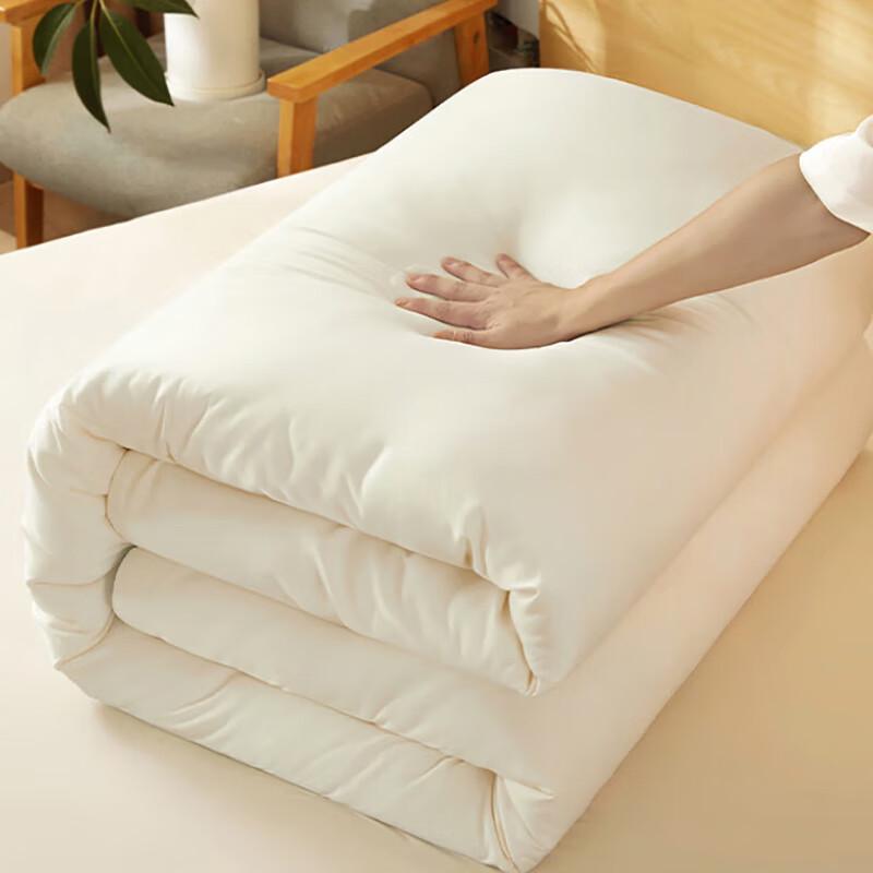 Nanjiren Skin-Friendly Soybean Fiber Winter Quilt