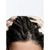 Beigic Scalp Calming Shampoo 300ml