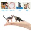 EYSCOTA CAT Фигурка животного Пластиковый набор животных для детей Набор, 12 штук