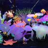 11 Leaf Silicone Artificial  Aquatic  Plant Fishbowl Ornaments Shape Realistic Colorful Aquarium Underwater Decoration Supplies