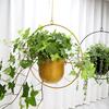 Современное подвесное кашпо Геометрический железный цветочный горшок с подвесной цепью Настенный потолочный подвес для растений Держатель для горшка для комнатных растений для внутреннего и наружного украшения