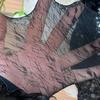 Женские носки с оборками Милые носки в стиле Лолиты Носки для платья с рюшами Носки для девочек с отворотами Высокие носки до щиколотки Прозрачные носки из кружевной сетки