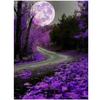 Полный 5D Diy Алмазная картина Лунная дорога Пейзаж Вышивка Крестом Домашний декор Подарок ручной работы