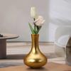 1PC Golden Resin Vase Light Luxury Cabinet Flower Vase Nordic Modern Flower Arrangement Pot Living Room Office Decoration