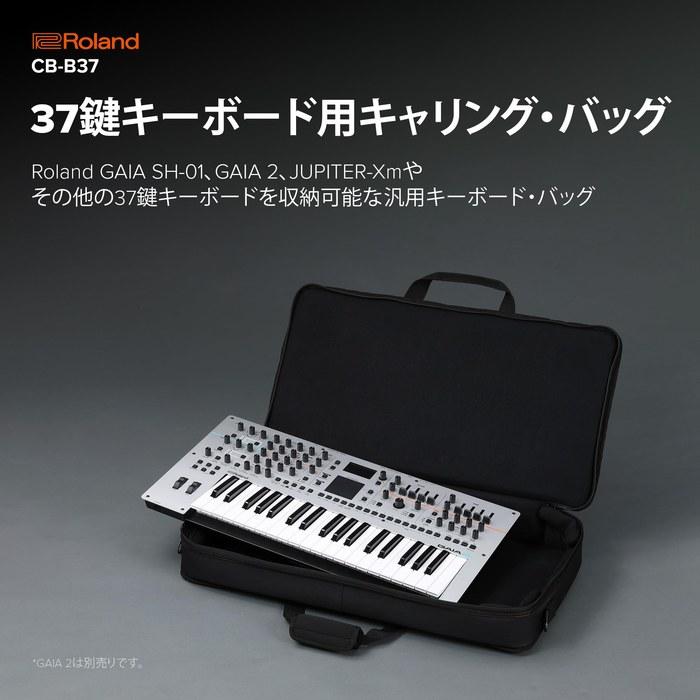 Сумка для переноски Roland CB-B37 для клавиатуры с 37 клавишами, GAIA 2/JUPITER-Xm, Черная, 37 клавиш