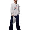Jordan As M J Flt Mtnside Gfx Ls Crew Neck Pullover Simple Long Sleeve Sweatshirt Men Sweatshirt IM6512-100