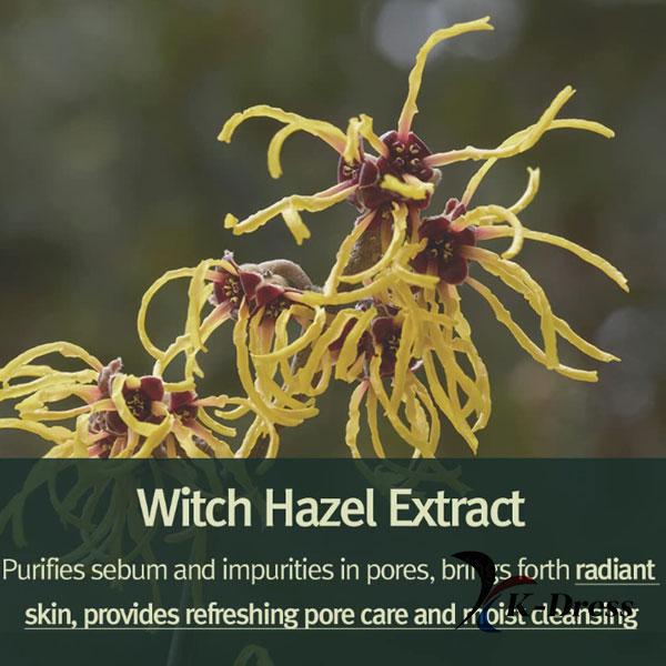 Pyunkang Yul Calming Acne Cleansing Foam 100ml