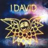 12-дюймовая пластинка I DAVID Nyah Chant Nyah Dub 1 Nyah Dub 2 UM4 Universal Melod 2019 UK Reggae Ska Dub