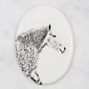 Percheron – Commemorative plaque with a photo of a horse, tombstone plaque with a print | Art-Dog