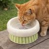 Wide Mouth Dog Food Feeder Anti-Slip Base Elevated Feeding Bowl  for Cats Dog Puppy