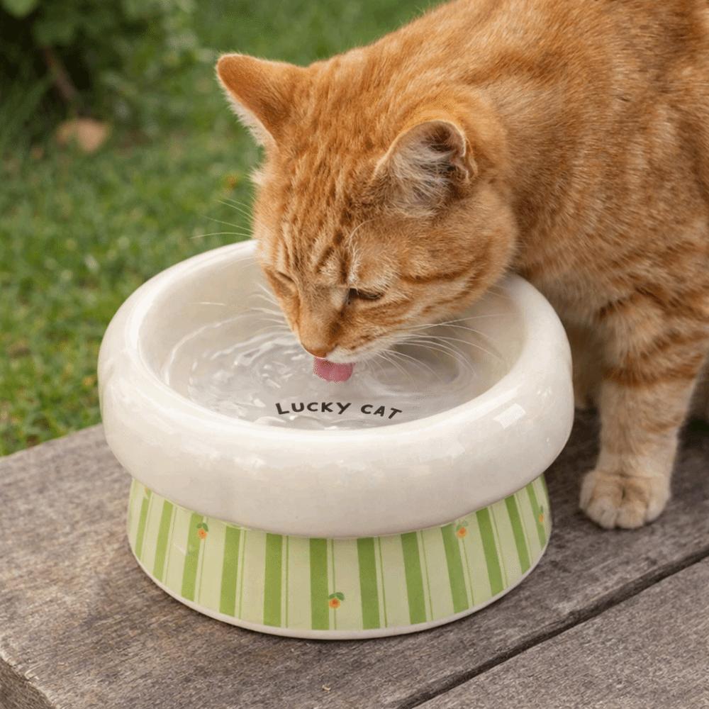 Wide Mouth Dog Food Feeder Anti-Slip Base Elevated Feeding Bowl  for Cats Dog Puppy