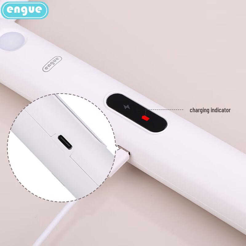 Engu Multi-function Outdoor LED Rechargeable Light & Bug Zapper