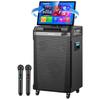 Philips Портативная система KTV Караоке SD659MAX Штепсель CN (адаптер в комплекте)