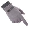 Suede Gloves Men's Autumn and Winter Windproof Warm Touch Screen Piled Thickened Riding Driving Motorcycle Cotton Gloves