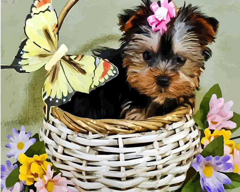 40x50 см живопись по номерам собака рисунок на холсте ручная роспись живопись искусство подарок DIY фотографии по номерам наборы животных домашний декор