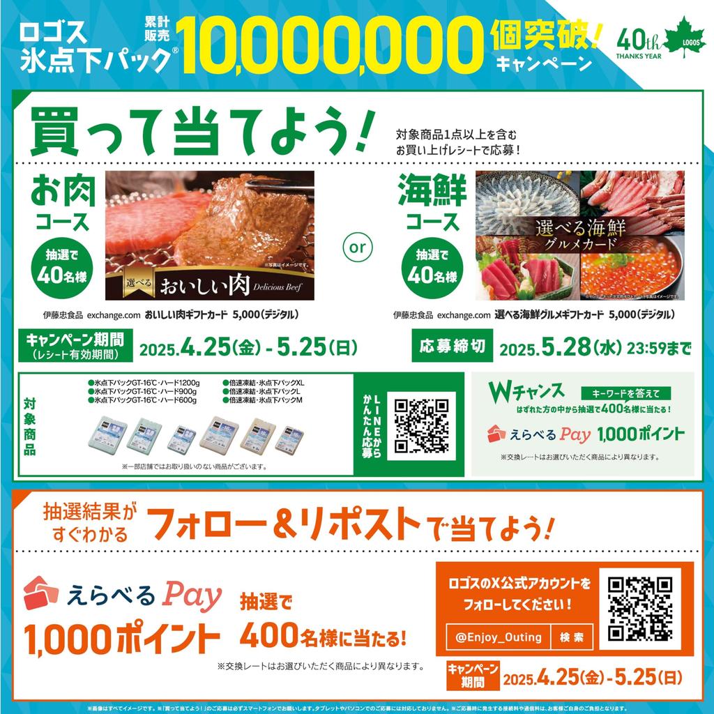 LOGOS Пакет со льдом GT Hard Disaster Сделано в Японии [Эксклюзив Amazon.co.jp] Ниже нуля -16°C 1200, 2 штуки, Долговечный, Готовность,