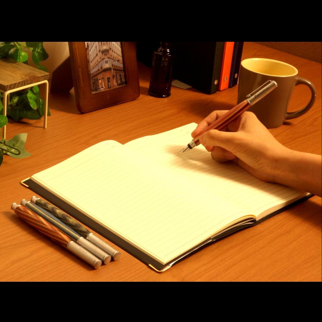 Перьевая ручка Exim Fiorentina Oval F23-18