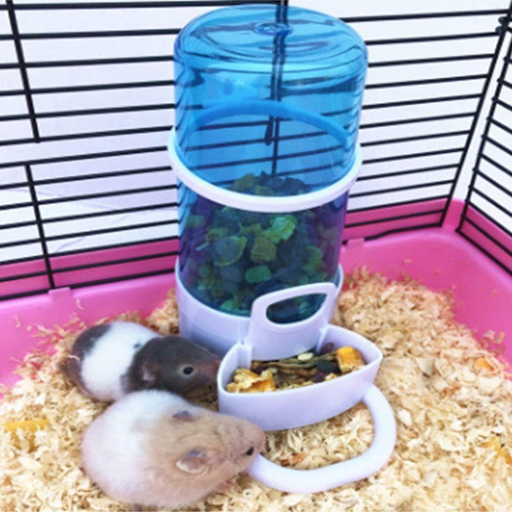 Feeding Bowl Box Plastic Anti Splash Bird's Container Bird Feeder Bird's Feeder Food Dispenser