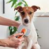 Babion Pet Slicker Automatic Hair Removal Brush M, Korean Pet Shampoo