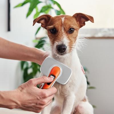 Автоматическая щетка для удаления волос Babion Pet Slicker M, корейский шампунь для домашних животных