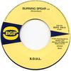 7inch Record S.O.U.L. - Burning Spear / Do What Ever You Wa BGPS034 BGP 1972 UK Soul/Funk