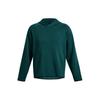 UA Unstoppable Logo Print Fleece Hoodie Long Sleeve Men Tops Dark-Green 1383042-449