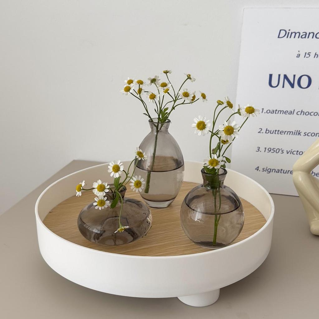 Cross-Border Light Luxury Mini Vase Set: Hydroponic Ornaments for Fresh Flowers In Living Room