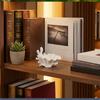Поднос для украшений в виде коралловой раковины, 3D-печатное изделие в скандинавском стиле, прочный настольный органайзер для новоселья, для дома, гостиной, офиса
