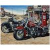 Retro Motorcycle Gas Station Prints Wall Art Canvas Painting Hockey Goalie Illustration Room Hom No Frame