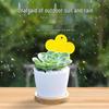 Yellow and Blue Double-Sided Sticky Insect Traps for Small Flies - Indoor Summer Use