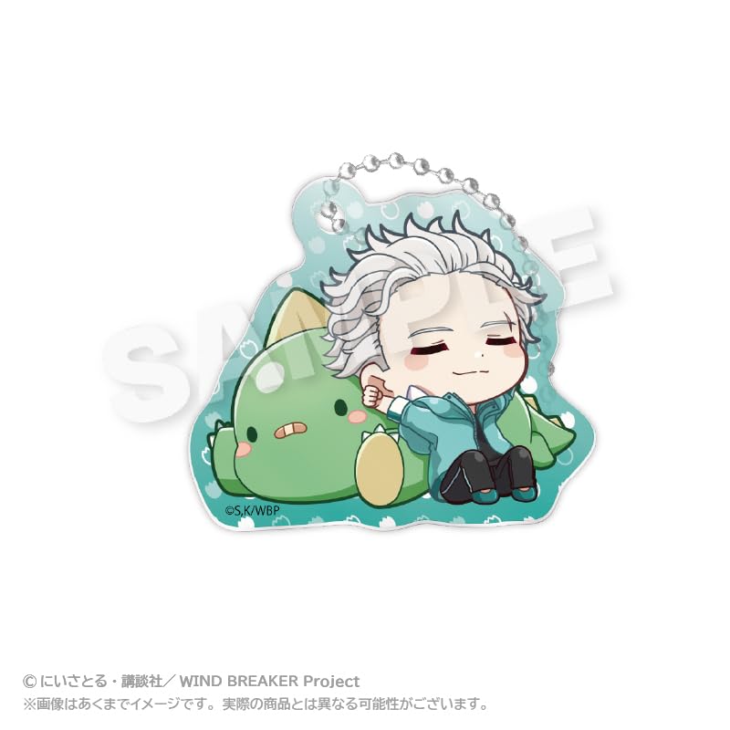 WIND BREAKER Trading Acrylic Keychains Gyaokore Box ver. 8-Piece