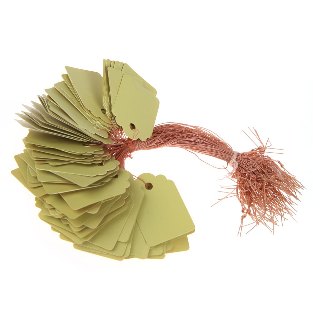 100pcs Garden Plant Labels PVC Nursery Garden Labels Hanging Plant Markers DIY Seedlings Labels for Plants Garden