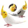 Cute Bird Sculpture Educational Parrot Ornament Bath Toys Simulation Parrot Figurine Home Garden