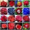 Алмазная вышивка Цветы Алмазная картина ручной работы Роза Изображение Стразы