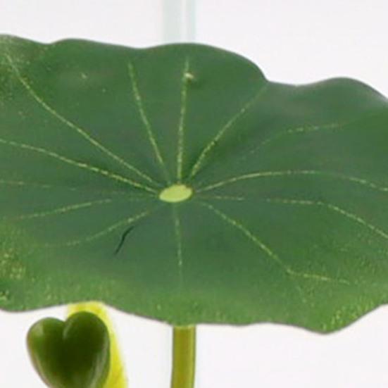 5 шт. подложка для листьев рыбки Betta с присоской, пластиковые растения, гамак для отдыха, аксессуары для аквариума, декор для естественной среды обитания, нереста, разведения