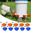 Kit Automatic Automatic Chicken Water Feeder Chicken Waterer Drinking Cups Feeding Watering Supplie